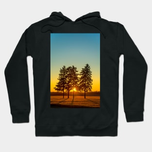 Conifers in the Sunset Hoodie